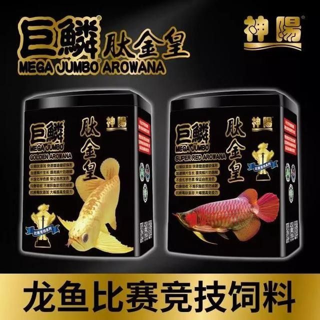 和興龍魚的主要產品有哪些（和興龍魚的水族器材有哪些特點和特點）
