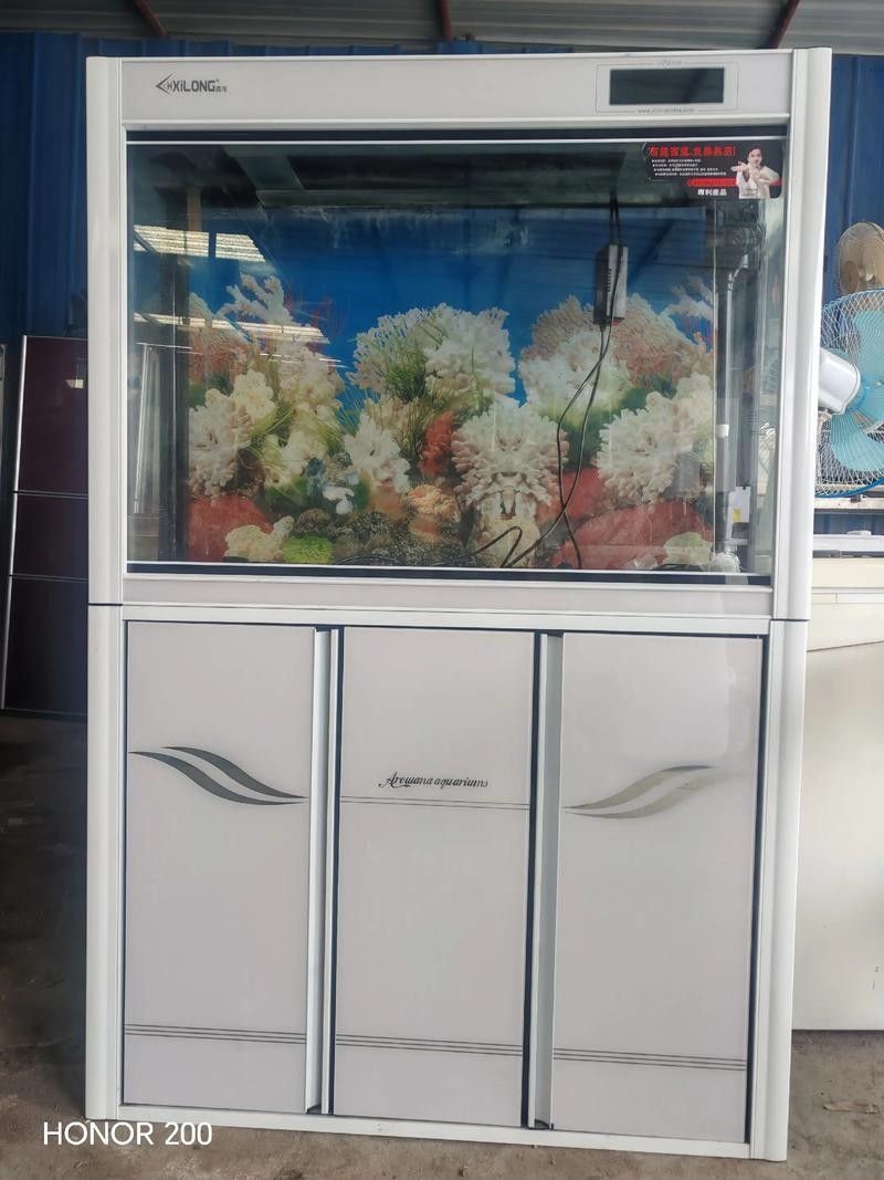 如何聯系當地大型水族市場（北京地區主要水族市場的聯系方式）