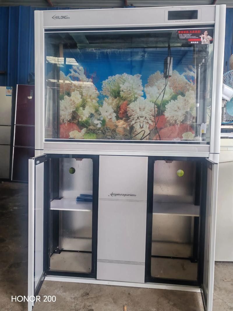 如何聯系當地大型水族市場（北京地區主要水族市場的聯系方式）