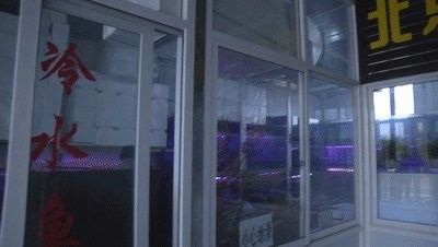 如何聯系當地大型水族市場（北京地區主要水族市場的聯系方式）