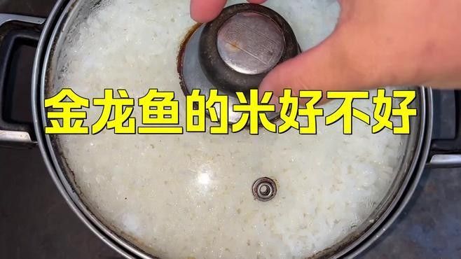 金龍魚泰國香米哪個品種最好？（哪個品種的金龍魚泰國香米最為出色？）