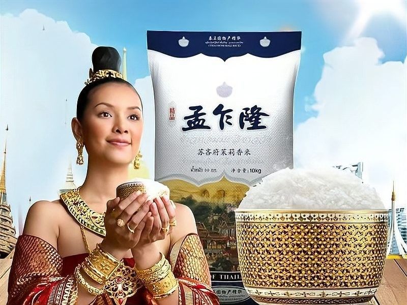 金龍魚泰國香米哪個品種最好？（哪個品種的金龍魚泰國香米最為出色？）