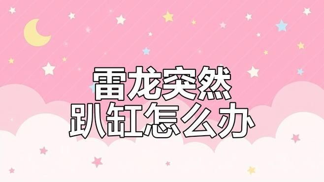 如何預防龍魚再次趴缸？（龍魚趴缸原因及解決方法）