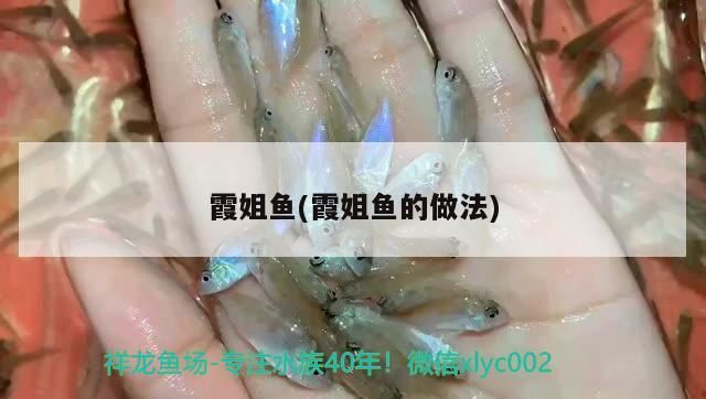 霞姐魚(霞姐魚的做法)（<strong><mark>佛山</mark></strong>順德區均安蒸豬的美食——霞姐魚）