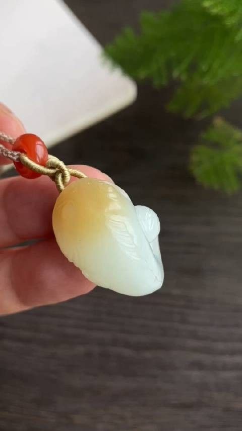 且末金山礦糖白龍魚（且末金山礦糖白龍魚的市場價值如何，且末金山礦糖白龍魚市場價值）