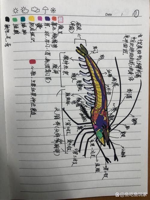 如何判斷魚缸是否適合再添一條魚（魚缸是否適合再添一條魚）