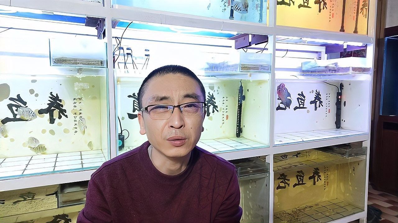 如何判斷魚缸是否適合再添一條魚（魚缸是否適合再添一條魚）
