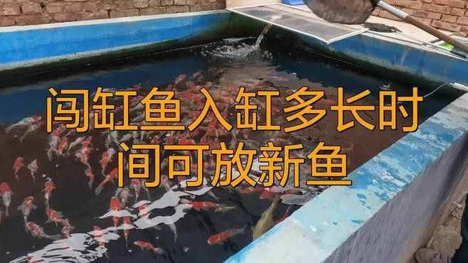 如何判斷魚缸是否適合再添一條魚（魚缸是否適合再添一條魚）