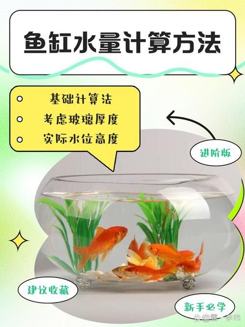 如何判斷魚缸是否適合再添一條魚（魚缸是否適合再添一條魚）