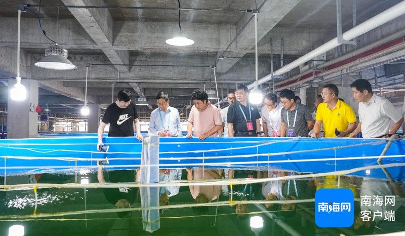 杭州龍魚養殖基地哪家口碑最好？（杭州龍魚養殖基地哪家好） 杭州龍魚養殖基地哪家口碑最好？（杭州龍魚養殖基地哪家好） 龍魚百科 第7張