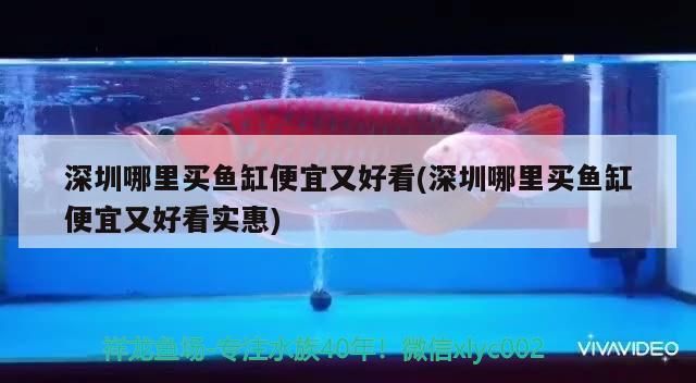 深圳哪里買魚缸便宜又好看(深圳哪里買魚缸便宜又好看實惠)（深圳哪里買魚缸便宜又好看） 深圳哪里買魚缸便宜又好看(深圳哪里買魚缸便宜又好看實惠)（深圳哪里買魚缸便宜又好看） 觀賞魚百科