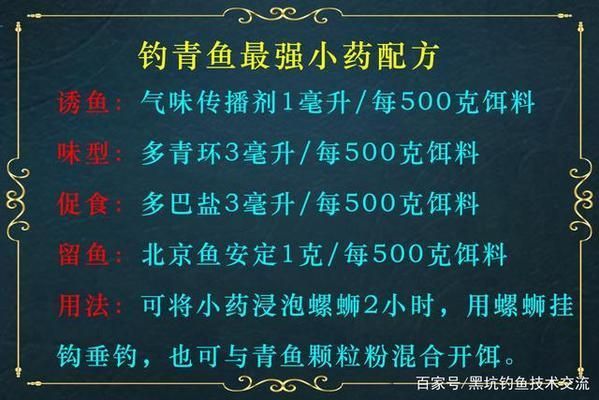 青龍魚飼料選擇與搭配技巧，青龍魚不同季節飼料選擇,青龍魚飼料中添加維諾效果