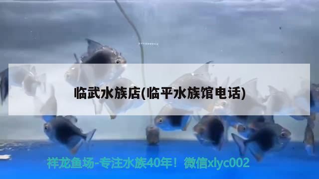 臨武水族店(臨平水族館電話)（撫州臨平水族館）