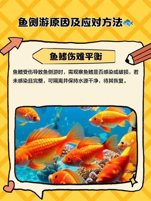 如何預防龍魚側游（如何預防龍魚側游？）