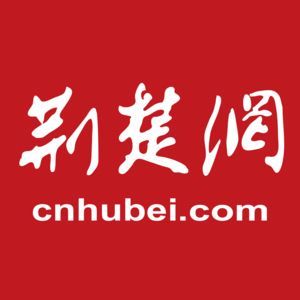 養銀龍魚需要什么條件呢（養殖銀龍魚需要滿足一系列條件，養銀龍魚需要滿足一系列條件）