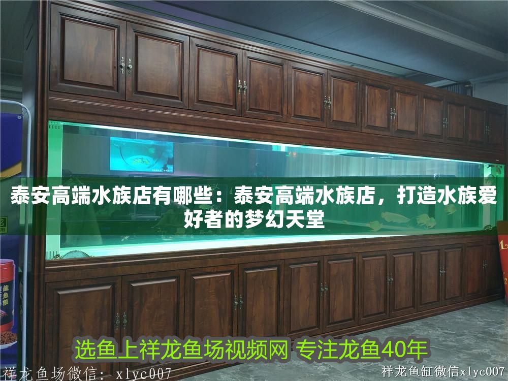 泰安高端水族店有哪些：泰安高端水族店，打造水族愛好者的夢幻天堂（泰安高端水族店）