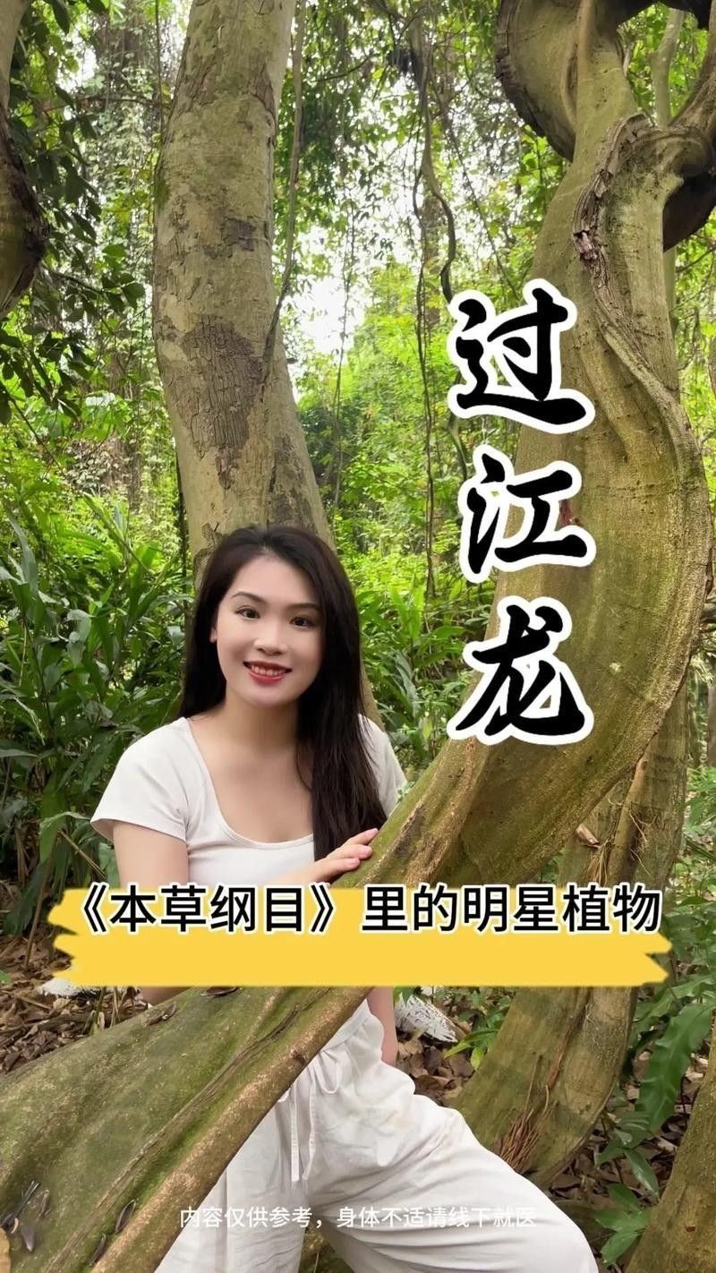 過江龍魚的價格是多少（過江龍魚價格多少錢一條）