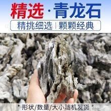 龍魚缸造景需要哪些材料（藍里個藍龍魚缸造景大揭秘小而美也能游刃有余飯飯不饞）