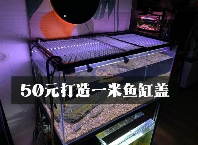 雷龍魚缸蓋需要多厚？（雷龍魚缸蓋的厚度取決于多種因素，包括魚缸的大小、設計以及預期的使用強度）