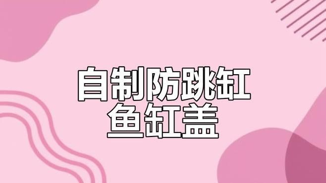 雷龍魚缸蓋需要多厚？（雷龍魚缸蓋的厚度取決于多種因素，包括魚缸的大小、設計以及預期的使用強度）