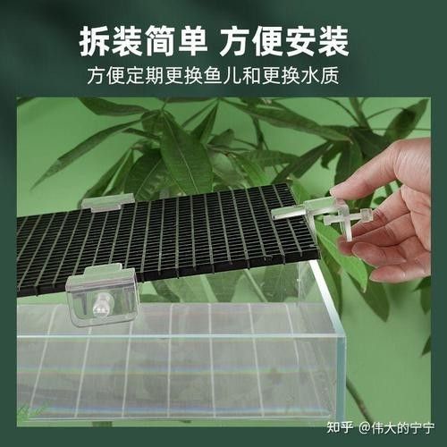 雷龍魚缸蓋需要多厚？（雷龍魚缸蓋的厚度取決于多種因素，包括魚缸的大小、設計以及預期的使用強度）