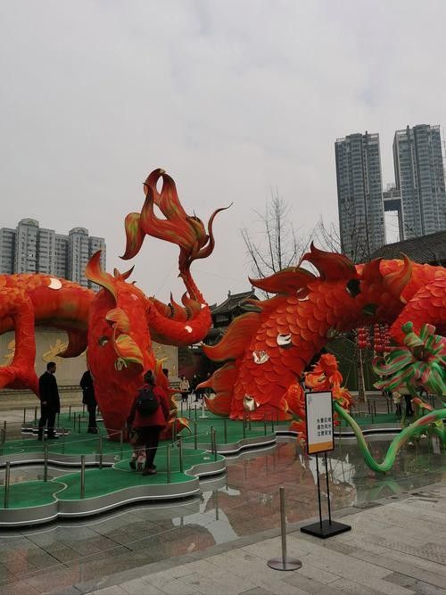 鄉寧龍魚屬于什么檔次（鄉寧龍魚有哪些獨特的品種，）