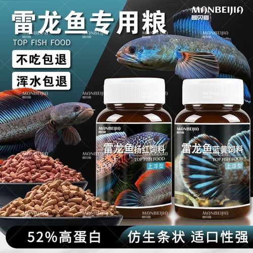 如何選擇適合雷龍魚的增色飼料（雷龍魚喂養全攻略）