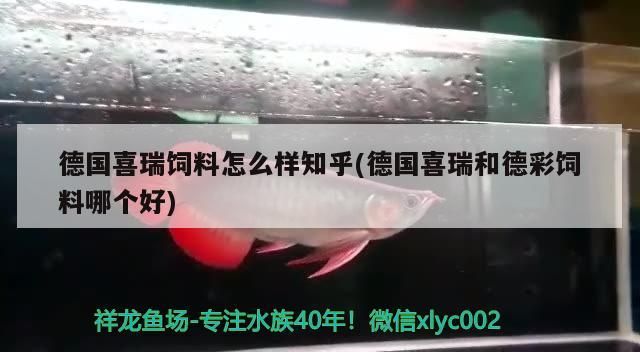德國喜瑞飼料怎么樣知乎(德國喜瑞和德彩飼料哪個好)