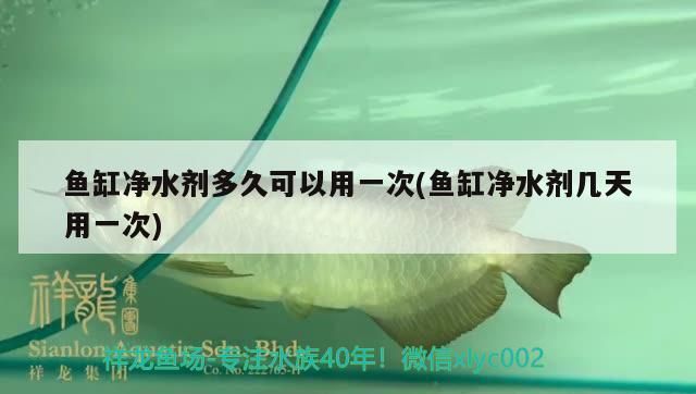 魚缸凈水劑多久可以用一次(魚缸凈水劑幾天用一次)（魚缸凈水劑多久可以用一次）