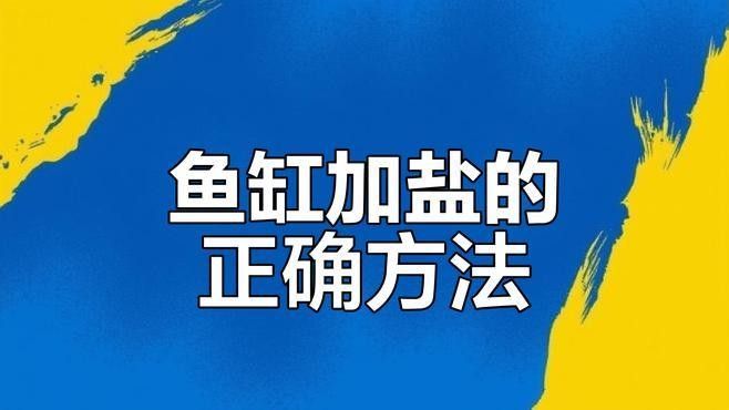 龍魚換水加鹽的具體步驟是什么（新手養魚必讀:如何正確換水、加鹽避開這5大誤區）