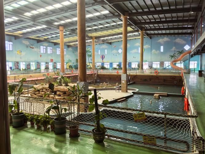 龍魚活食喂食頻率需根據階段調整頻率和餌料清單和投喂時間，龍魚喂食階段速查表