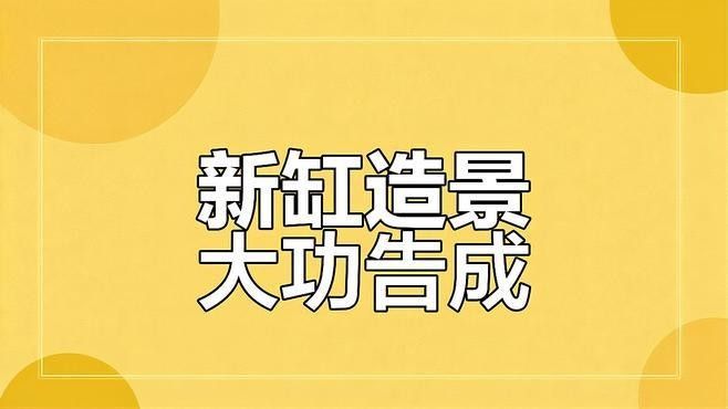 龍魚混養(yǎng)水草需要哪些特殊設(shè)備？（魚混養(yǎng)水草需要特殊的設(shè)備來(lái)確保水質(zhì)的穩(wěn)定和適宜）