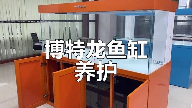 推薦一些高端龍魚缸品牌（2025年高端龍魚缸品牌及其特點(diǎn)：*aquariummaster） 推薦一些高端龍魚缸品牌（2025年高端龍魚缸品牌及其特點(diǎn)：*aquariummaster） 龍魚百科 第9張