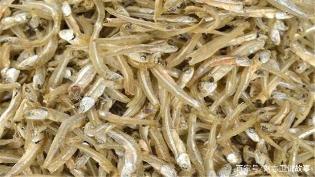 銀古魚苗養殖水質要求：養殖銀古魚苗所需的水質條件和維持方法