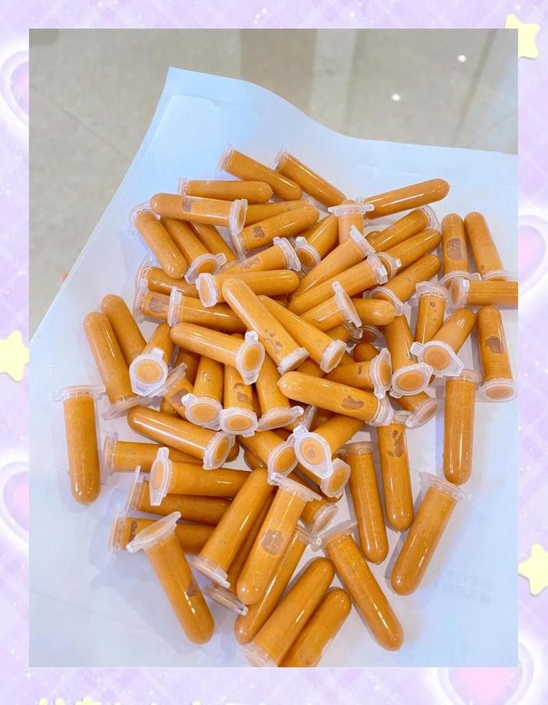 冷凍豐年蝦和紅蟲能保存多久？（冷凍豐年蝦和紅蟲的保存方式）