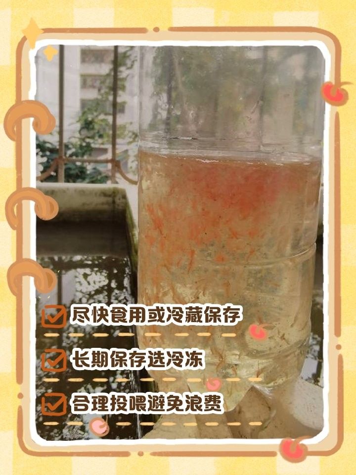 冷凍豐年蝦和紅蟲能保存多久？（冷凍豐年蝦和紅蟲的保存方式）