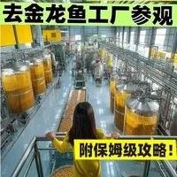金龍魚體驗館是否收費？（金龍魚體驗館是否收費）