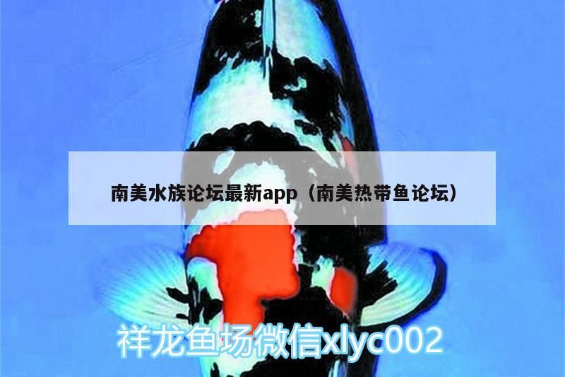 南美水族論壇最新app（南美熱帶魚論壇）（南美水族論壇最新app）