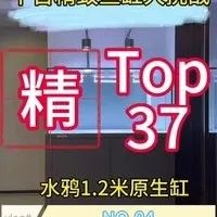 北京龍魚漁場哪家口碑最好？（北京龍魚漁場哪家口碑最好）
