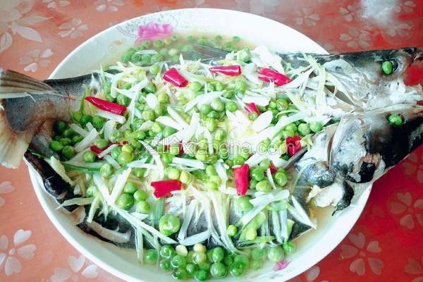 如何保存和烹飪刺海龍