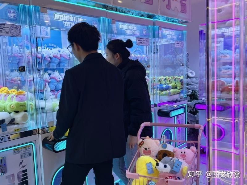 龍貓玩具多久換一次（如何判斷龍貓玩具是否需要更換）