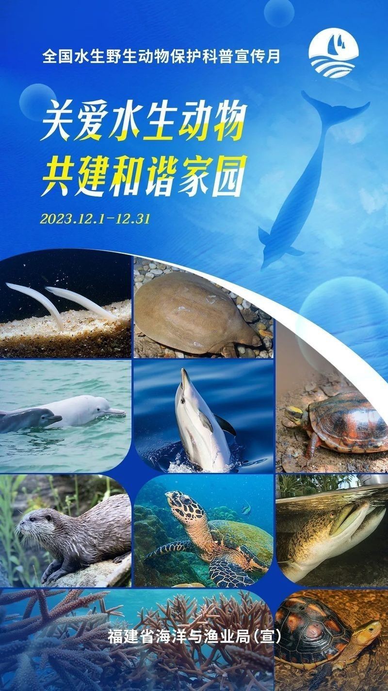 如何區(qū)分保護(hù)和非保護(hù)的海龍魚（最新版《國家重點保護(hù)野生動物】漲知識》）
