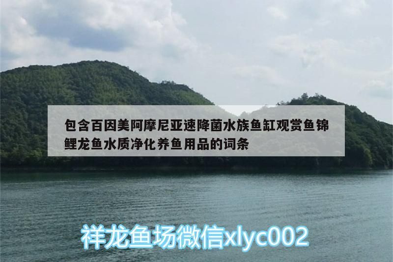 包含百因美阿摩尼亞速降菌水族魚缸觀賞魚錦鯉龍魚水質凈化養魚用品的詞條