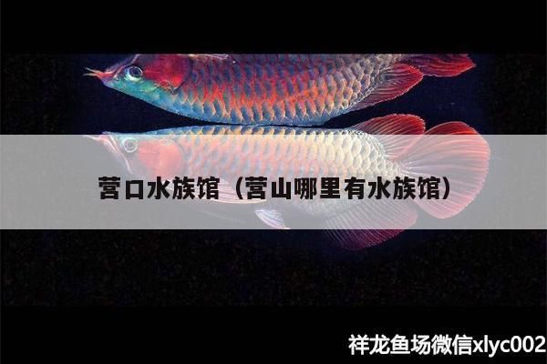 營口水族館（營山哪里有水族館）