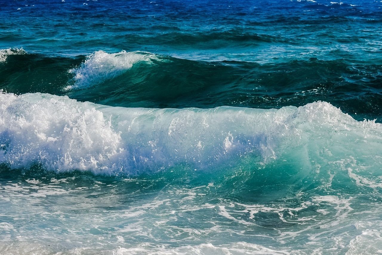 天津龍魚做手術(shù)（魚缸里的龍魚打架受傷，如何才能夠使其快速）