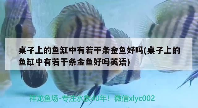 桌子上的魚缸中有若干條金魚好嗎(桌子上的魚缸中有若干條金魚好嗎英語)（關于魚缸擺放的問題）