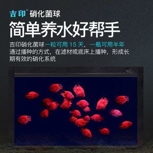 飼料 紅龍魚哪個品種最好養活又便宜(紅龍魚哪個品種最好養活又便宜的)(養殖紅龍魚的注意事項) 觀賞魚百科 紅龍魚哪個品種最好養活又便宜(紅龍魚哪個品種最好養活又便宜的)(養殖紅龍魚的注意事項) 紅龍魚哪個品種最好養活又便宜(紅龍魚哪個品種最好養活又便宜的)(養殖紅龍魚的注意事項) 觀賞魚百科