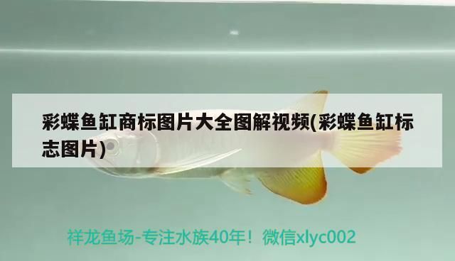彩蝶魚缸商標圖片大全圖解視頻(彩蝶魚缸標志圖片)（彩蝶魚缸商標圖片大全圖解視頻和彩蝶魚缸標志圖片大全）