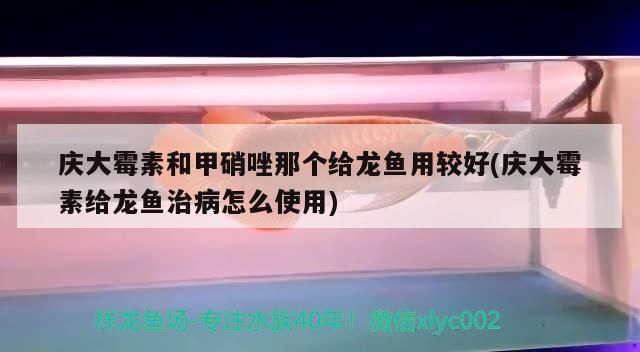 慶大霉素和甲硝唑那個給龍魚用較好(慶大霉素給龍魚治病怎么使用)（慶大霉素和甲硝唑和甲硝唑那個給龍魚用較好的知識）