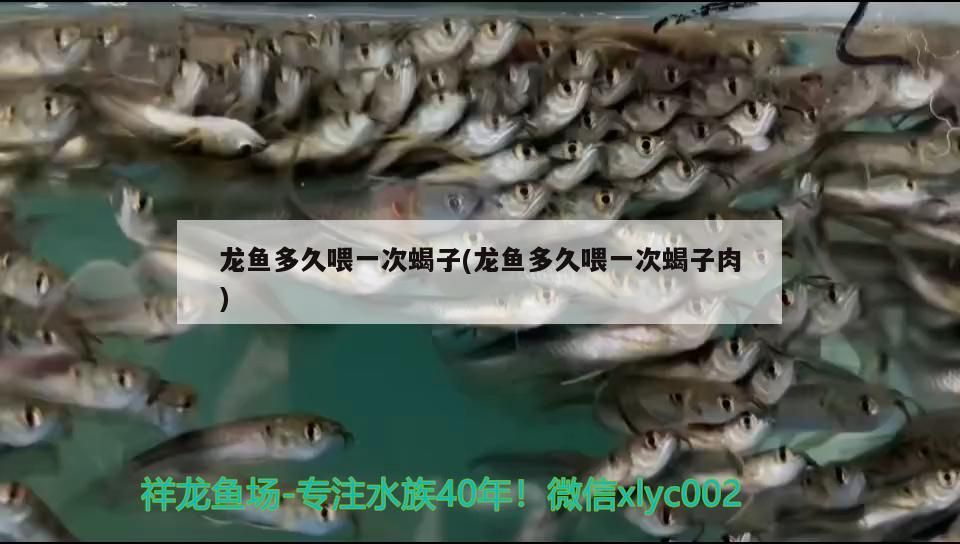 打卡第四天
